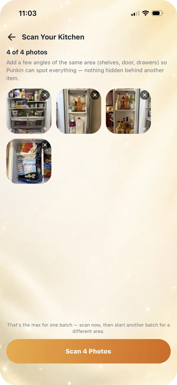 Scanning fridge photos in Punkin